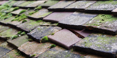 Siloh roof repair costs